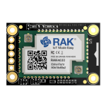 RAK Wireless | IoT Made Easy